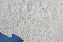 Stamped Concrete