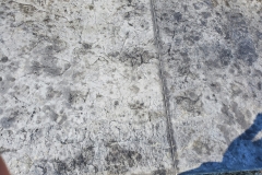 Stamped-concrete-close-up-scaled